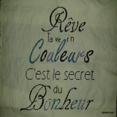 Grille point de croix : Rêve ta vie en couleurs PDF
