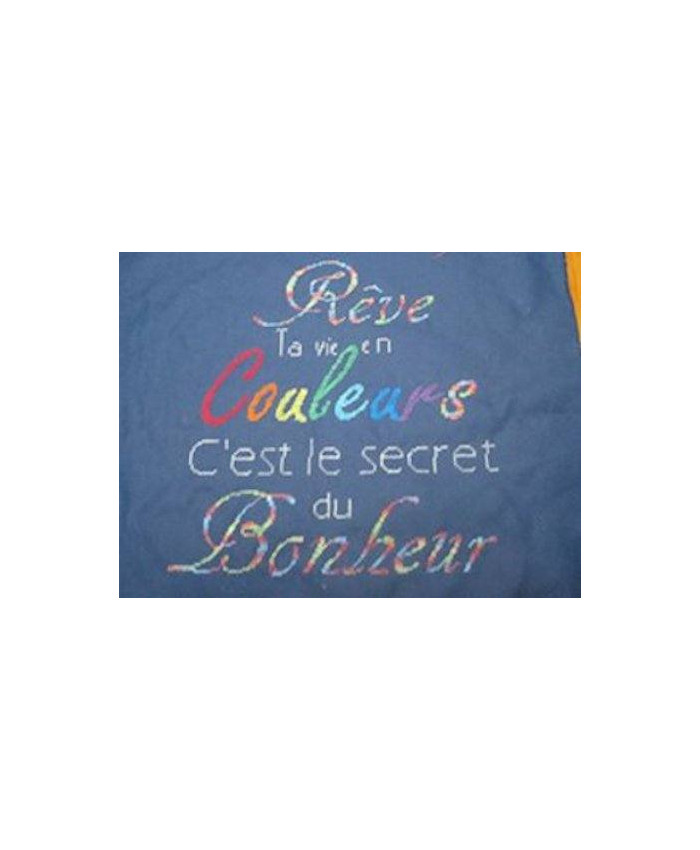 Grille point de croix : Rêve ta vie en couleurs PDF