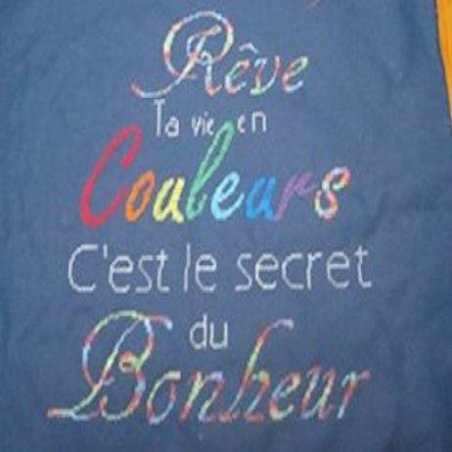 Grille point de croix : Rêve ta vie en couleurs PDF