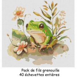 Pack de fils: Grenouille