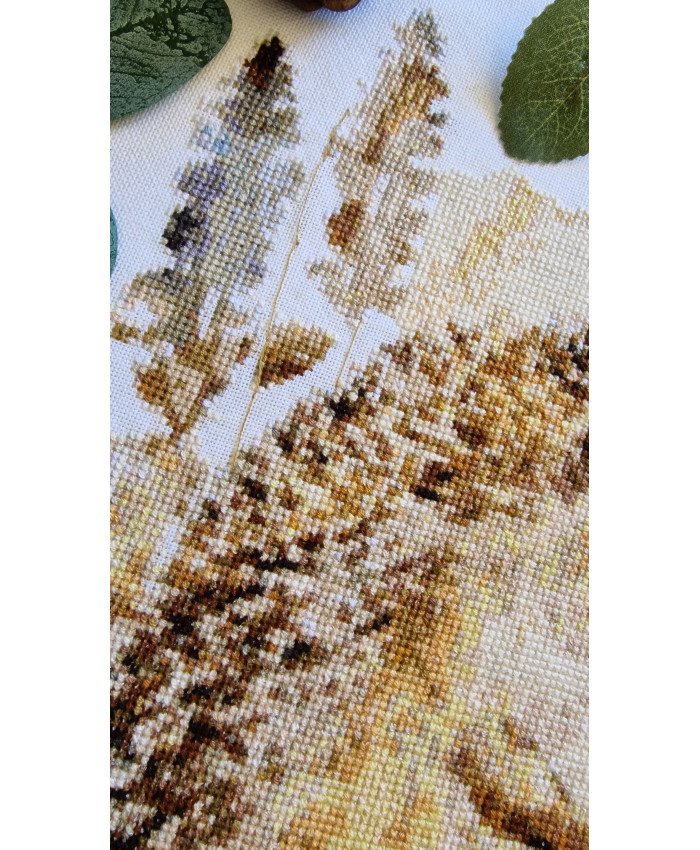 Grille point de croix : Hérisson PDF