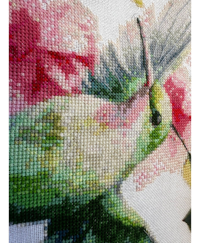 Kit à broder Colibri