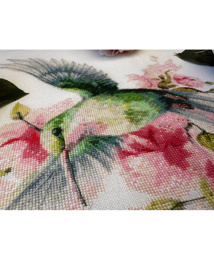 Kit à broder Colibri