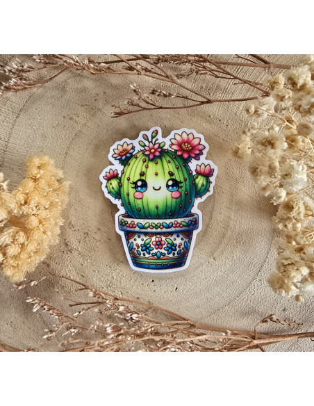 Aimant à aiguilles Cactus