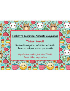 Pochette Surprise Aimants à aiguilles