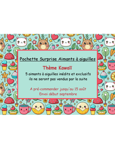 Pochette Surprise Aimants à aiguilles