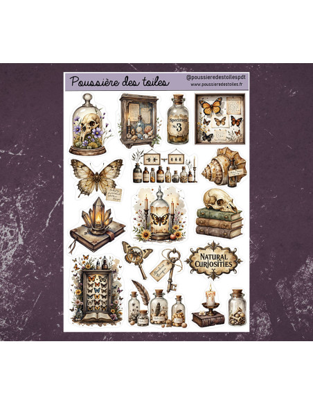 Réf 147 Feuille d’autocollants, Stickers pour Bullet Journal cabinet curiosité