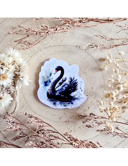 Poussière à aiguilles : cygne