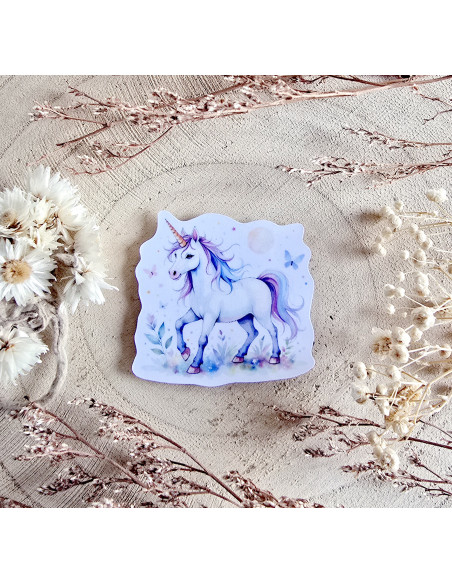 Poussière à aiguilles : licorne