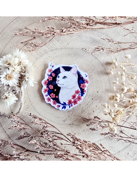 Poussière à aiguilles : chat