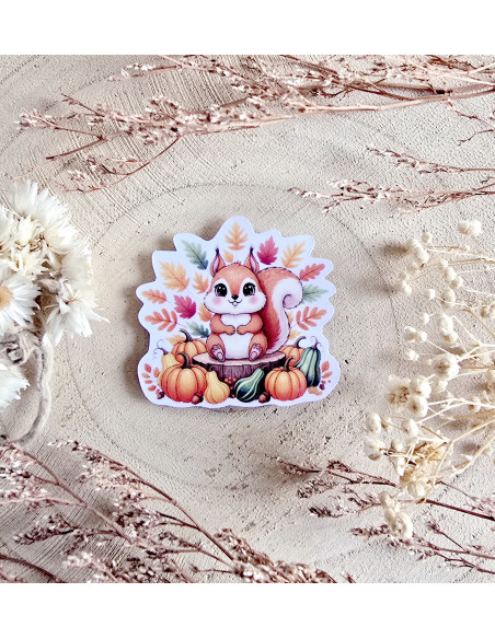 Poussière à aiguilles : écureuil