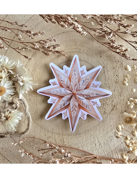 Poussière à aiguilles : étoile de noël