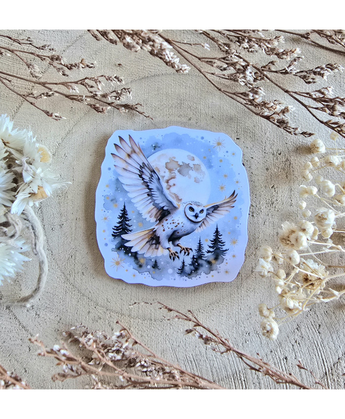 Poussière à aiguilles :  Chouette