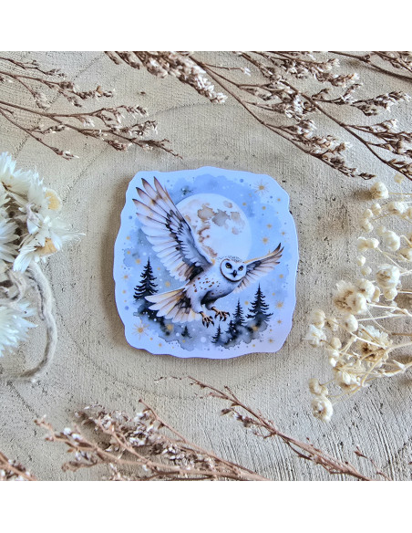 Poussière à aiguilles :  Chouette