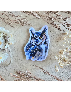 Poussière à aiguilles : Chouette