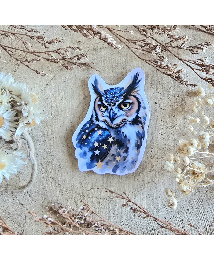 Poussière à aiguilles : Chouette