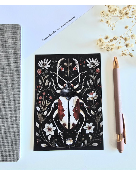 Carte postale scarabée postcrossing scrapbooking correspondance écriture