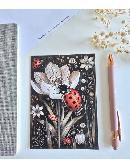 Carte postale coccinelle postcrossing scrapbooking correspondance écriture