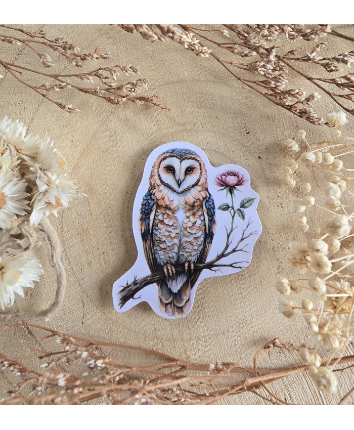 Poussière à aiguilles : Chouette