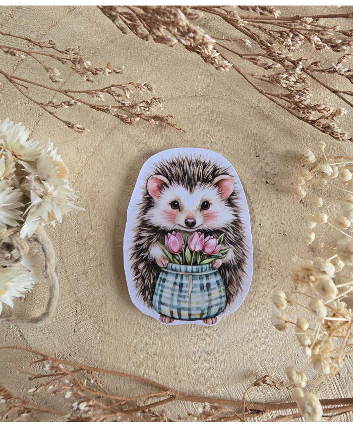 Poussière à aiguilles : Hérisson