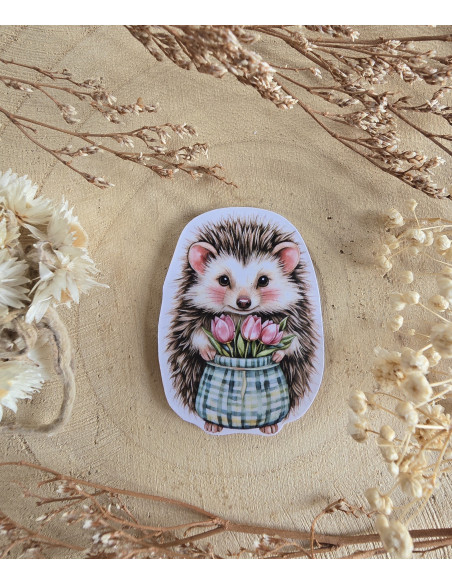 Poussière à aiguilles : Hérisson