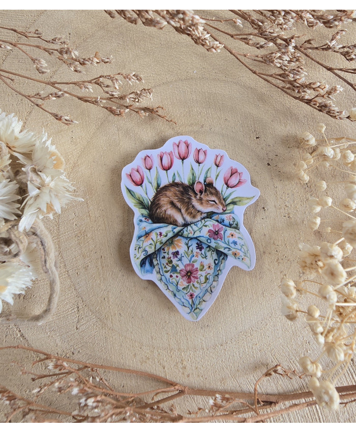 Poussière à aiguilles : Souris