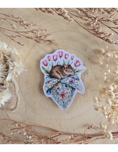 Poussière à aiguilles : Souris