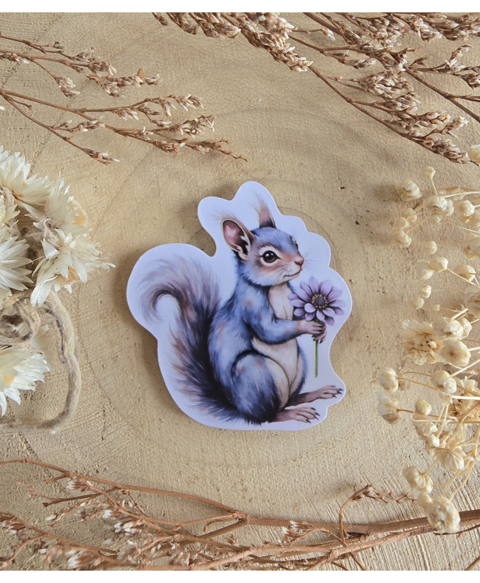 Poussière à aiguilles : écureuil