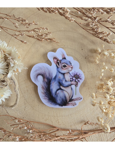 Poussière à aiguilles : écureuil