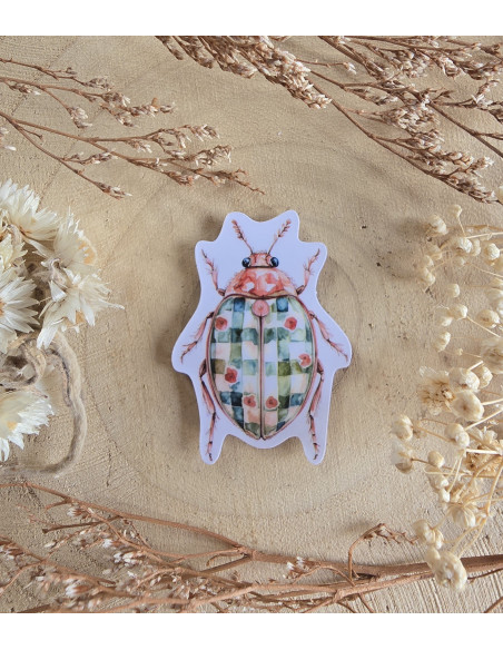 Poussière à aiguilles : Scarabée