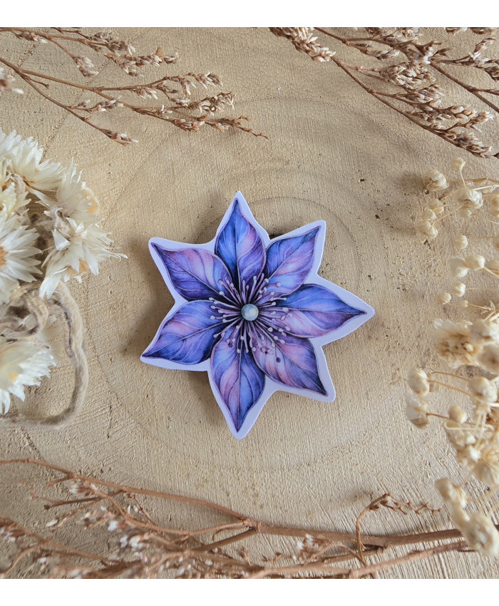 Poussière à aiguilles : Fleur