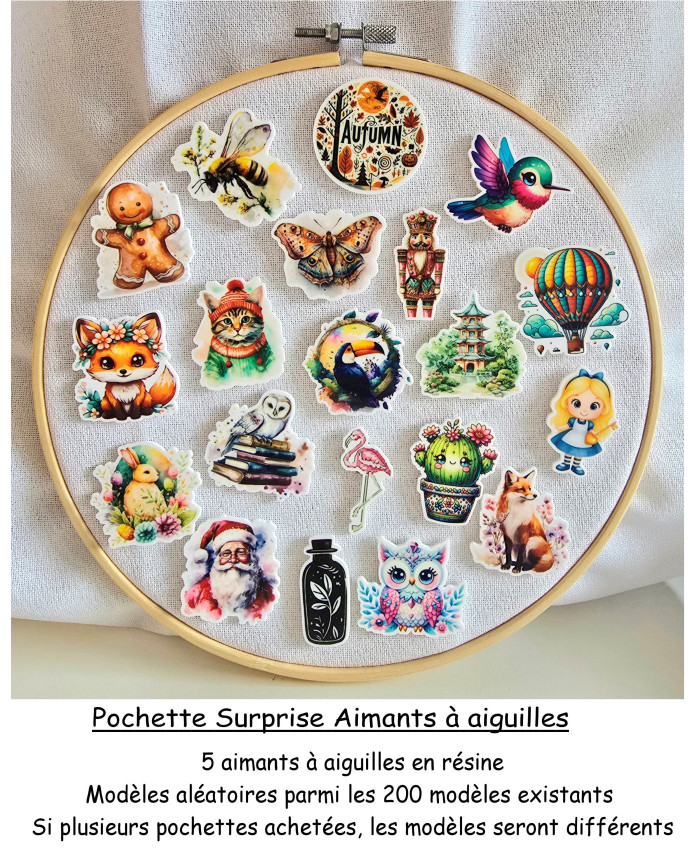 Pochette surprise 5 aimants à aiguilles