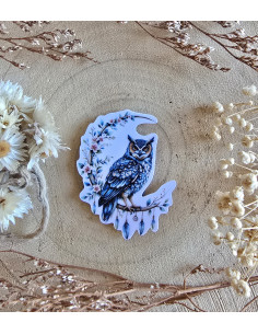 Poussière à aiguilles : Chouette rêve