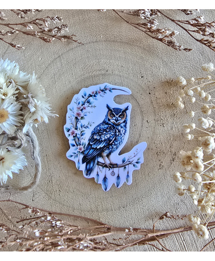 Poussière à aiguilles : Chouette rêve