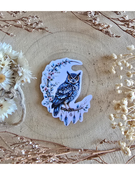 Poussière à aiguilles : Chouette rêve