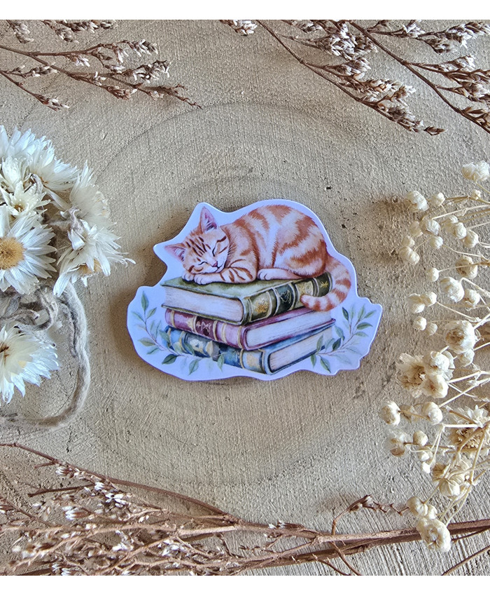 Poussière à aiguilles : Chat roux