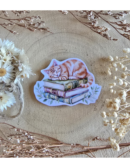 Poussière à aiguilles : Chat roux