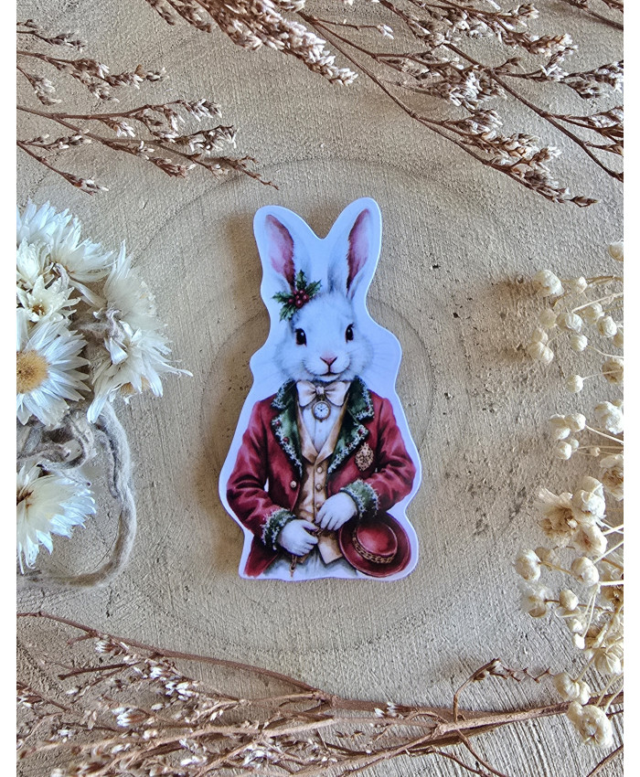 Poussière à aiguilles : Lapin alice