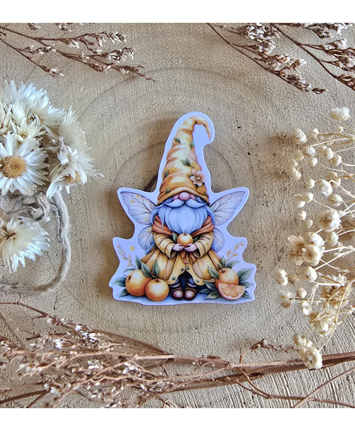 Poussière à aiguilles : Gnome