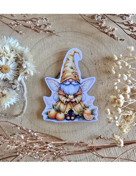 Poussière à aiguilles : Gnome