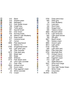 Grille point de croix : Chat roux Papier 2