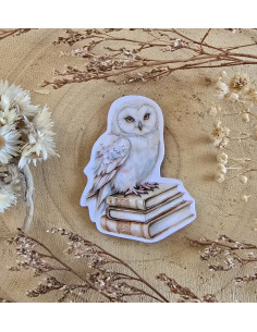 Poussière à aiguilles : Hibou