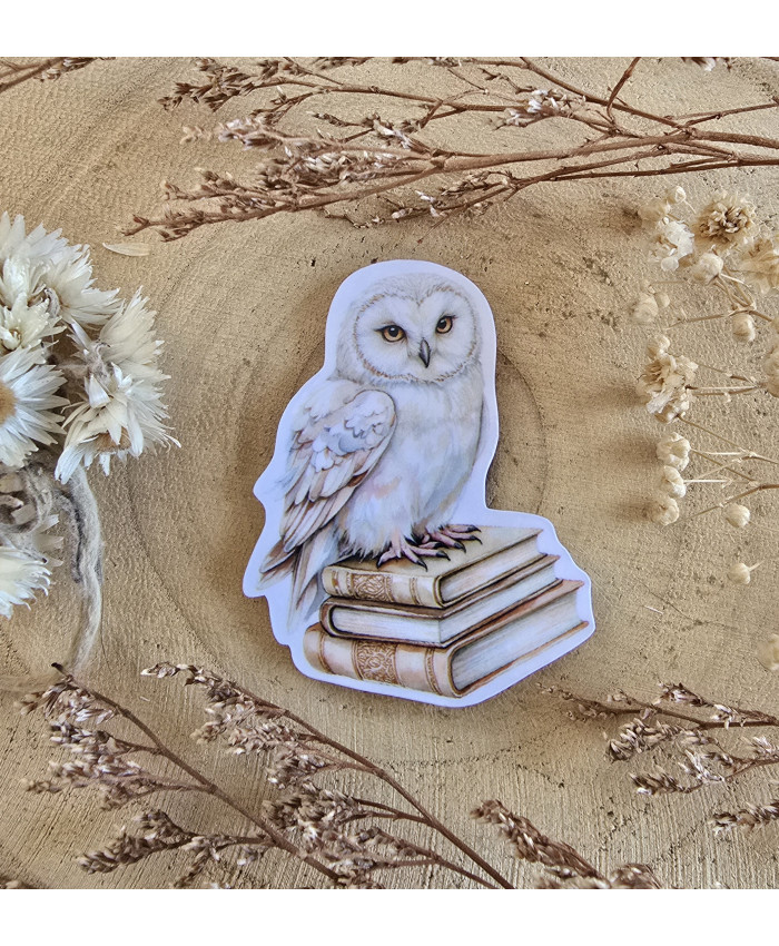 Poussière à aiguilles : Hibou