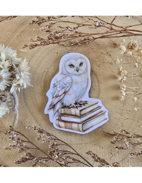 Poussière à aiguilles : Hibou