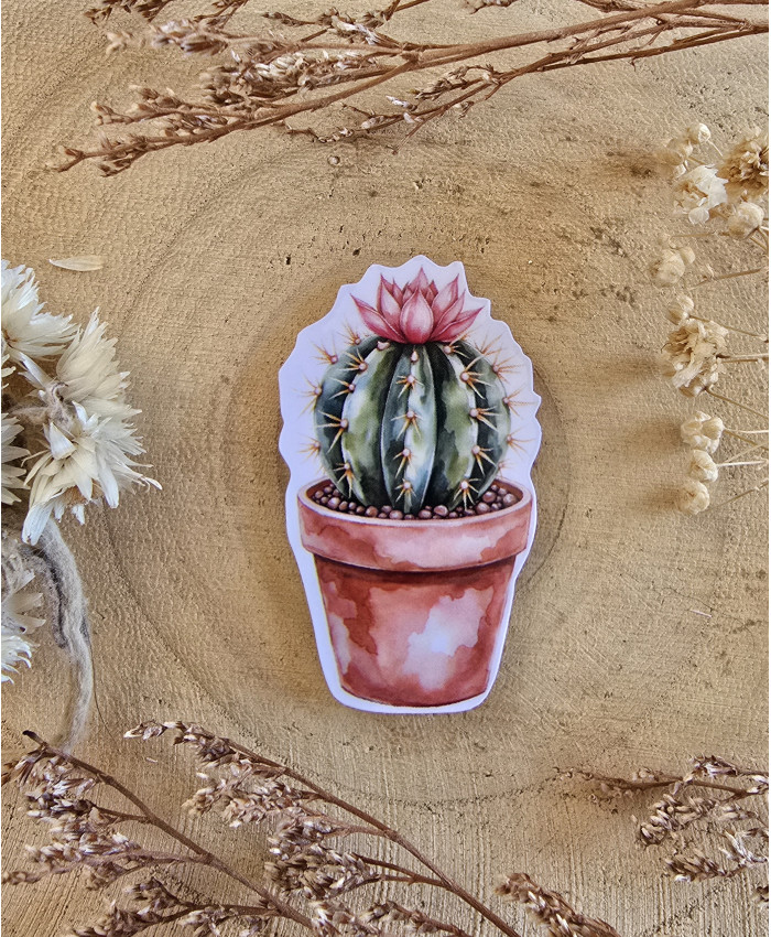 Poussière à aiguilles : Cactus