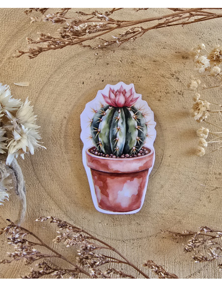 Poussière à aiguilles : Cactus