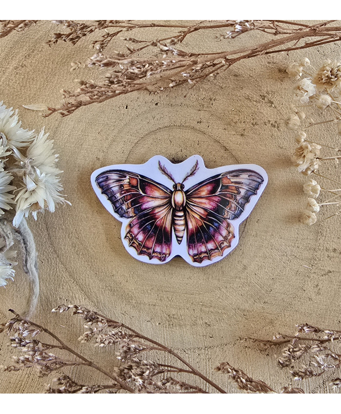 Poussière à aiguilles : Papillon