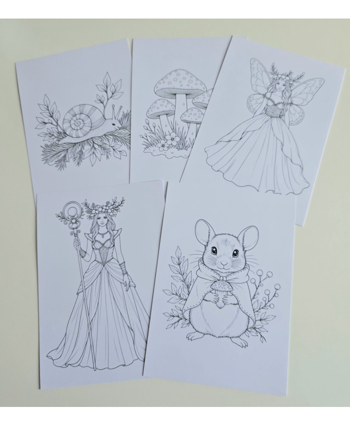Réf 03 Coloriages automne