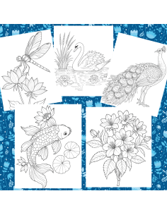 Réf 06 Coloriages japon