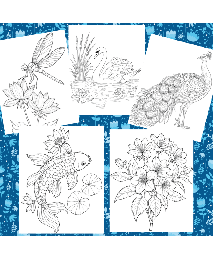 Réf 06 Coloriages japon